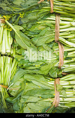 Des paquets de feuilles de moutarde, full frame Banque D'Images