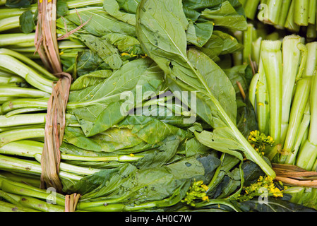 Des paquets de feuilles de moutarde, full frame Banque D'Images