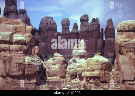 Les clochers de grès dans le quartier des aiguilles, Canyonlands National Park, Utah Banque D'Images