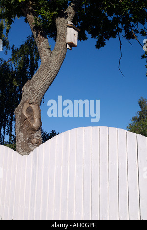 Maison d'oiseau accroché à un tronc d'arbre. Banque D'Images