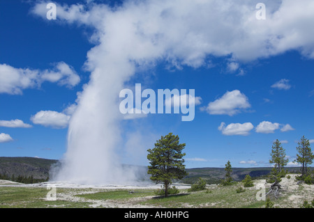 Old Faithful Geyser geyser basin supérieure en éruption le parc national de Yellowstone au Wyoming usa États-Unis d'Amérique Banque D'Images