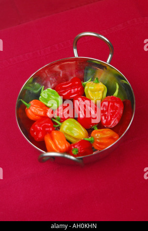 Piment Habanero (Capsicum chinense) dans un bol Banque D'Images