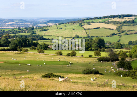 À la NE de Cleeve Common près de Cheltenham, Gloucestershire Banque D'Images