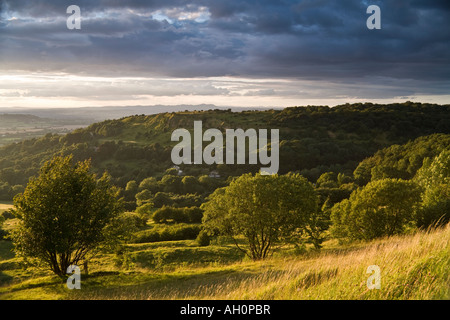 Une soirée sur le Cotswold scarp partout à Crickley Hill de Barrow Service, Gloucestershire Banque D'Images