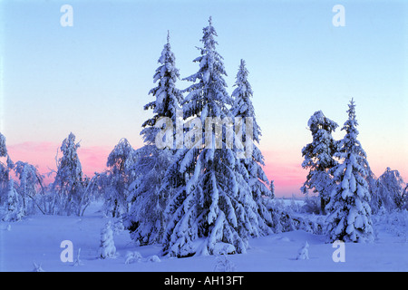 Paysages d'hiver gelé de Dalarna en Suède Värmland et Banque D'Images