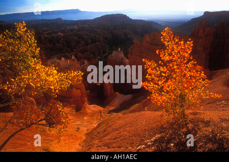 Bryce Canyon National Park Utah sunrise de Sunset Point à l'automne avec trembles USA Sud-ouest des États-Unis d'Amérique Banque D'Images