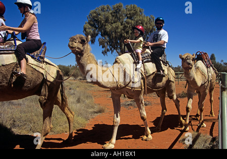 Train de chameaux et les cavaliers, Kata Tjuta National Park, Territoire du Nord, Australie Banque D'Images