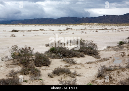 Salines de l'ouest du Texas, le long de la route US 62/180 juste à l'ouest de Guadalupe Mountains National Park Banque D'Images