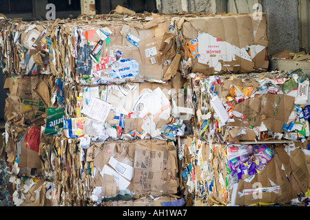 Papier recyclé compactées et livré à l'installation de recyclage Banque D'Images