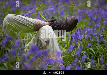 Un démarrage randonneurs a woman relaxing parmi bluebells Batcombe Dorset England UK MR Banque D'Images