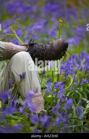 Un démarrage randonneurs a woman relaxing parmi bluebells Batcombe Dorset England UK MR Banque D'Images