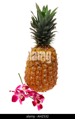 Un ananas d'orchidées se découpant sur fond blanc Banque D'Images