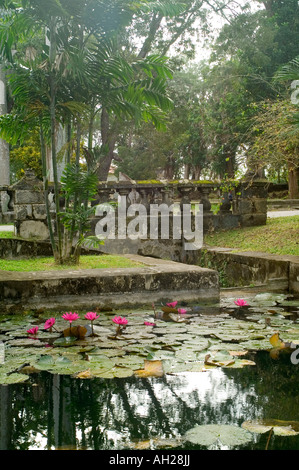 Bassin de plantes ornementales, Codrington College, St John Parish, Barbade Banque D'Images