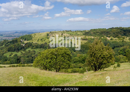 L'escarpe à Crickley Cotswold Hill vu de Barrow Service, Gloucestershire Banque D'Images