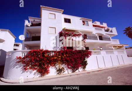 Appartements de vacances peint blanc brillant à la plage Meia Praia, près de Lagos, Portugal Banque D'Images