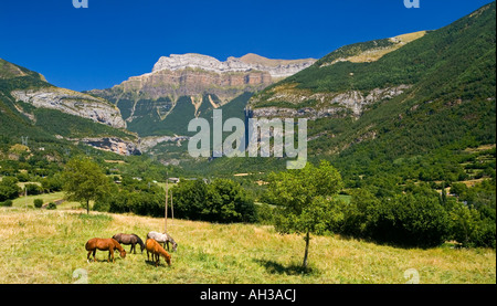 Montagne près du village de Torla et le Parc National d'Ordesa dans les Pyrénées espagnoles avec les chevaux qui broutent en premier plan Banque D'Images