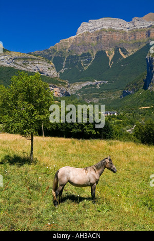 Montagne près du village de Torla et le Parc National d'Ordesa dans les Pyrénées espagnoles avec calèche en premier plan Banque D'Images