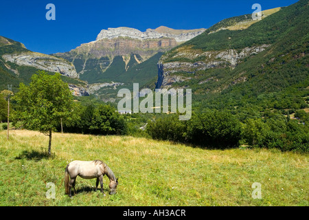 Montagne près du village de Torla et le Parc National d'Ordesa dans les Pyrénées espagnoles avec calèche en premier plan Banque D'Images