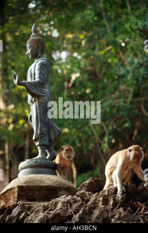 Les macaques à longue queue et Bouddha, parc national de Khao Sok Banque D'Images