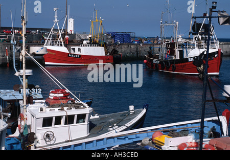 Port de Seahouses et bateaux de pêche dans le Northumberland 'Grande-bretagne' Banque D'Images