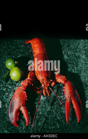 Homard rouge vif de l'écrevisse cuite sur une plaque de granit marbre foncé citron citron Banque D'Images