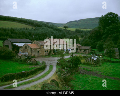 North York Moors Hill Farm, près de Chop Gate, Bilsdale, North York Moors National Park, North Yorkshire, Angleterre, Royaume-Uni. Banque D'Images