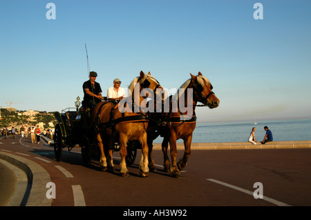 Cheval et promenade au bord de l'eau Nice France Banque D'Images