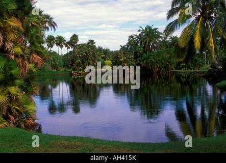 Fairchild Tropical Botanic Garden, ville, Miami, Floride Banque D'Images