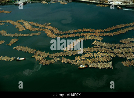 La déforestation : le bois à l'Harbour à Owendo, port de Libreville, Gabon, Afrique du Sud Banque D'Images