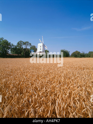 Saxted mill, Suffolk, Angleterre Banque D'Images