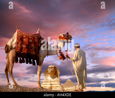 EG - LE CAIRE : Sphinx et pyramide à El Cairo Banque D'Images