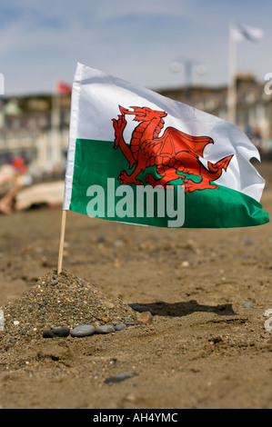 Y Ddraig Goch Dragon Rouge petit drapeau gallois dans le sable et de la promenade de la plage d'Aberystwyth emblème national de l'après-midi d'été Banque D'Images