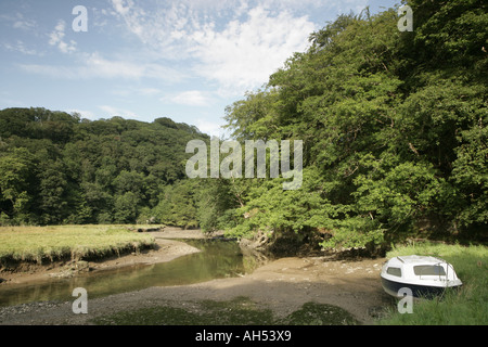 Kilminorth Woods une réserve naturelle sur les rives de la rivière West Looe Looe Cornwall nr Watergate Banque D'Images