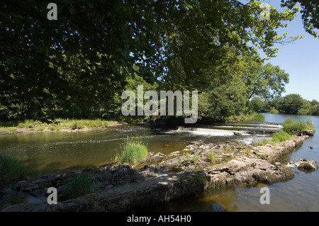 La rivière Teifi à Newcastle Emlyn Carmarthenshire Wales Cymru Banque D'Images