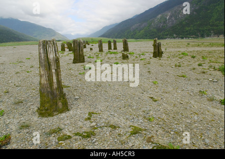 Vestiges d'un vieux port, quai de Dyea, près de Skagway, Alaska, USA. Banque D'Images