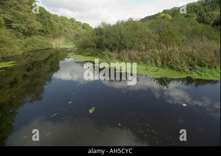 La rivière Tavy à Lopwell Grande-bretagne Devon Banque D'Images