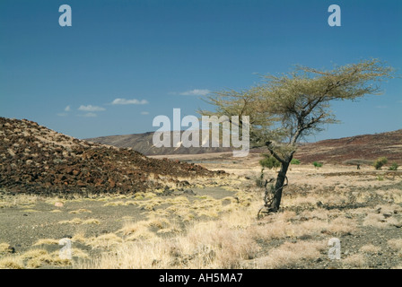 Un lit de rivière à sec en marche pour le lac Turkana passé brisé de rochers de lave volcaniques éteints. Le Lac Turkana, au nord du Kenya. Banque D'Images