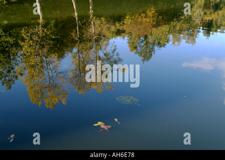 France Isère Ruy arbres colorés à l'automne reflète dans l'eau Banque D'Images