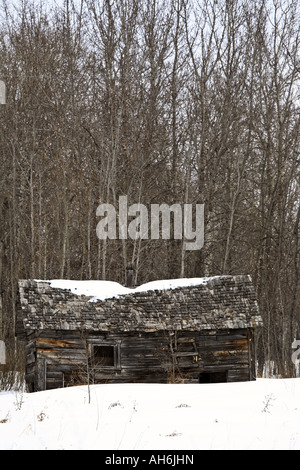 Cabane abandonnée près de Boggy Creek, Saskatchewan Banque D'Images