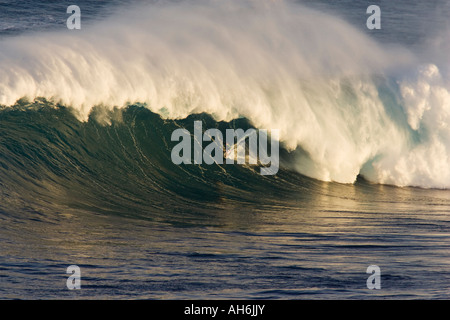 Un surfeur conduit une grande vague avec offshore pulvériser à mâchoires, Maui. Banque D'Images