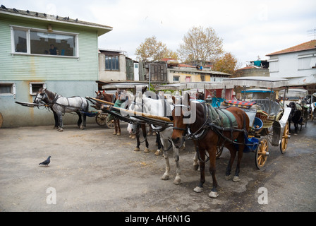 Parking pour les voitures à cheval, Frederikshavn, plus grande des îles du Prince, Istanbul, Turquie Banque D'Images