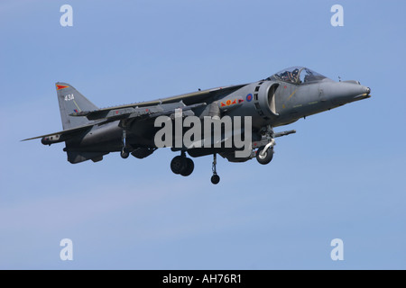 BAe Harrier GR7 Banque D'Images