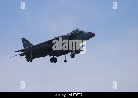 BAe Harrier GR7 Banque D'Images