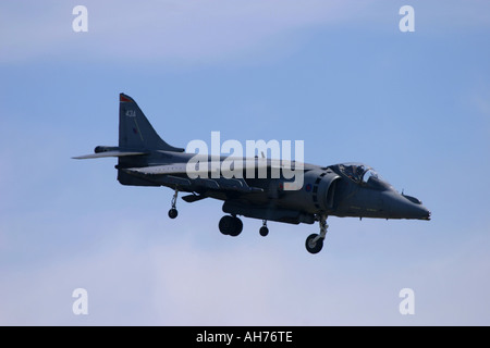 BAe Harrier GR7 Banque D'Images