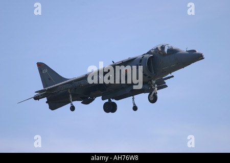 BAe Harrier GR7 Banque D'Images