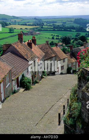 Colline historique cottages sur rue pavée, Gold Hill, Shaftesbury, Dorset, England, UK Banque D'Images