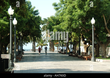 Couple se baladant le long de la promenade ombragée bordée d'arbres espagnols avec des personnes assises à l'ombre à Tarragone Costa Daurada Espagne Banque D'Images