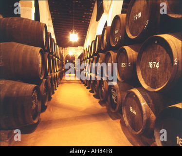 Jerez de la Frontera cadiz espagne Provincia de Los Reyes à Cave Gonzalez Byass Bodegas Banque D'Images