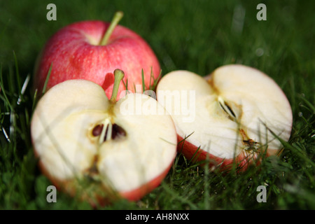 Une pomme derrière deux moitiés de l'herbe dans sunshine Banque D'Images
