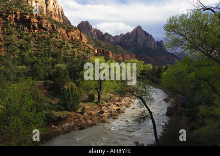 La rivière qui coule à partir de la Vierge comme Zion Canyon une tempête printanière passe au-dessus de ce paysage désertique Zion National Park Utah Banque D'Images